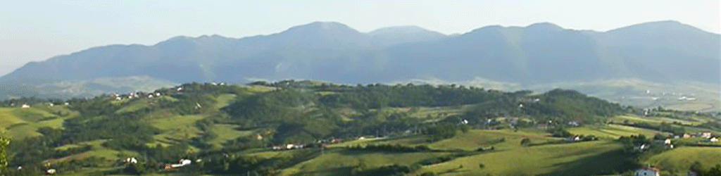 Quintodecimo